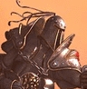 Benutzeravatar