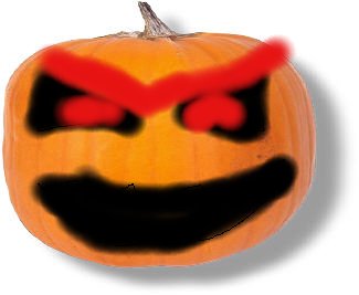 kuerbis.jpg