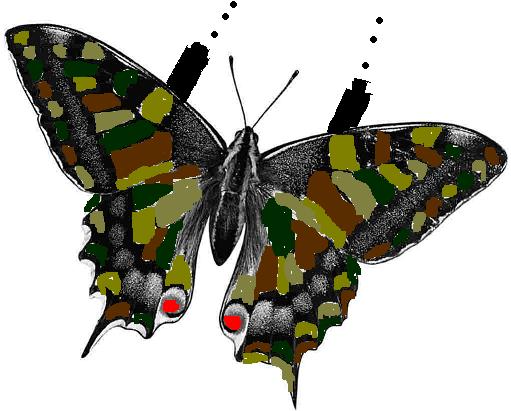 Kriegschmetterling